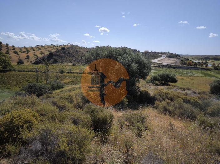 Image No.11-Plot for sale