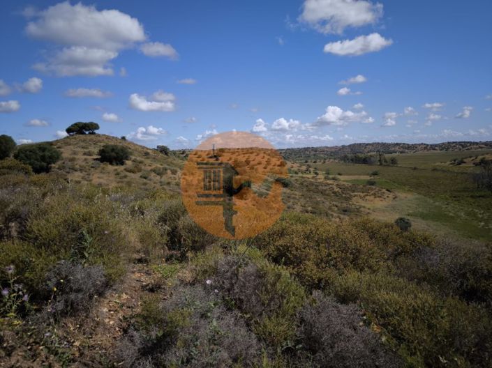 Image No.13-Plot for sale