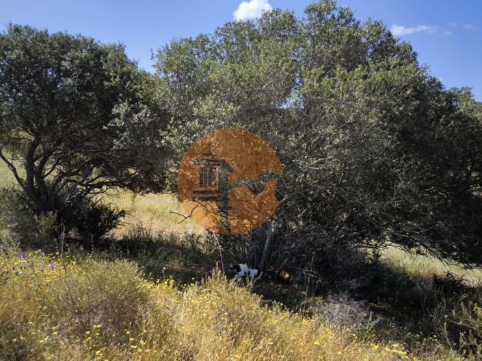 Image No.20-Plot for sale