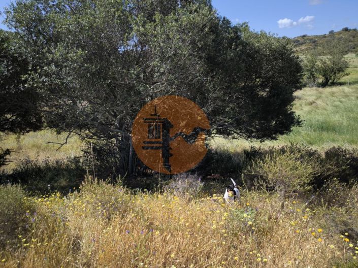 Image No.23-Plot for sale