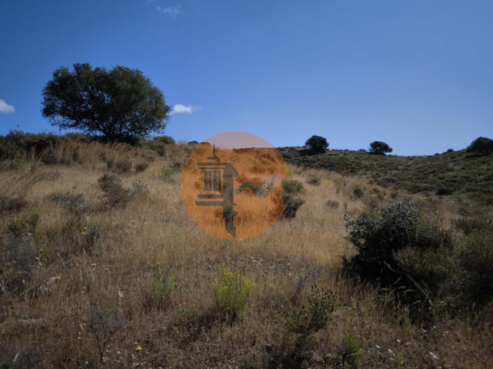 Image No.27-Plot for sale