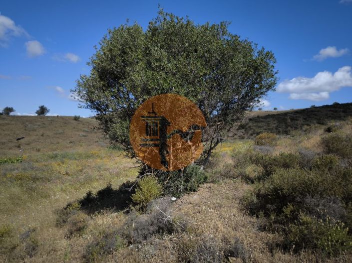 Image No.4-Plot for sale