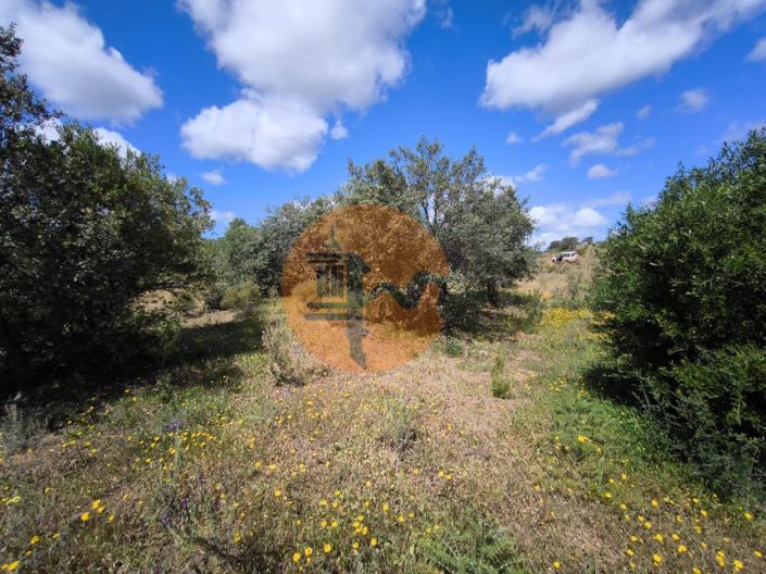 Image No.19-Plot for sale