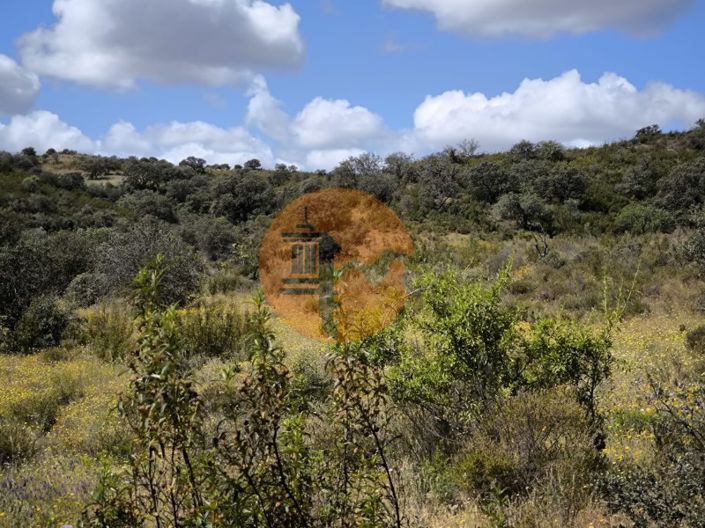 Image No.24-Plot for sale