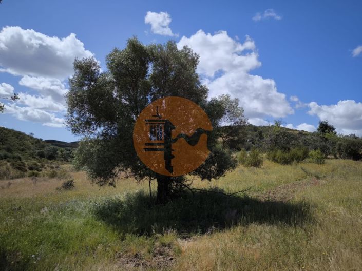 Image No.29-Plot for sale