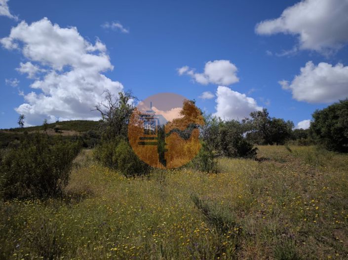 Image No.27-Plot for sale