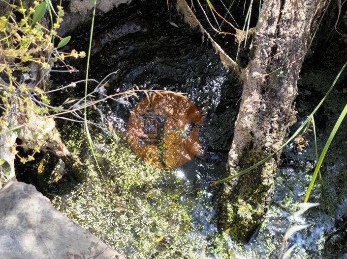 Image No.36-Plot for sale