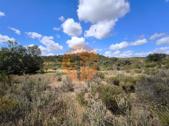 Image No.8-Plot for sale