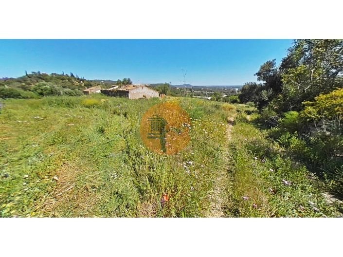 Image No.25-3 Bed House for sale