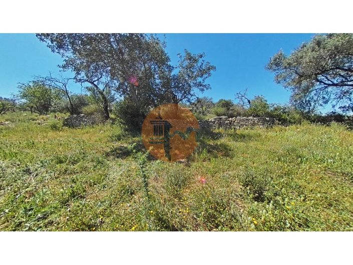 Image No.34-3 Bed House for sale