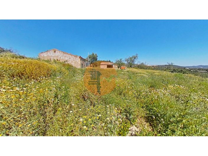 Image No.13-3 Bed House for sale