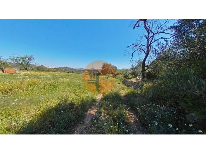 Image No.38-3 Bed House for sale