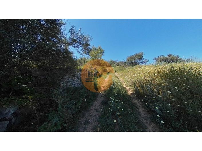 Image No.40-3 Bed House for sale