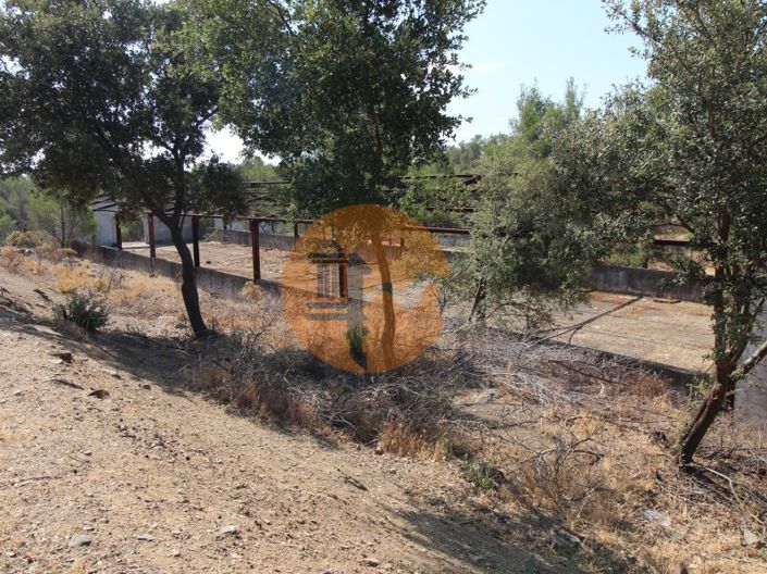 Image No.11-Plot for sale