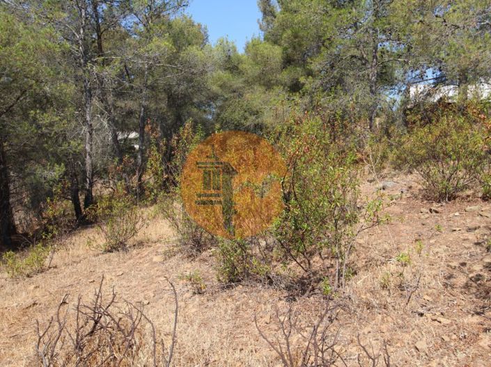 Image No.12-Plot for sale