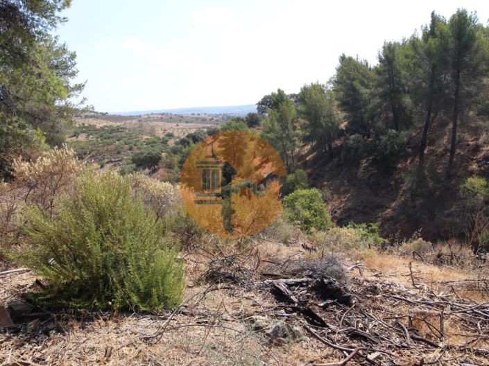 Image No.14-Plot for sale