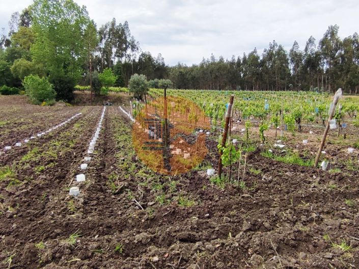 Image No.19-Plot for sale