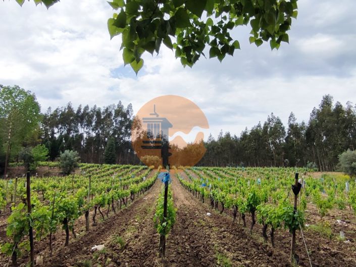 Image No.21-Plot for sale