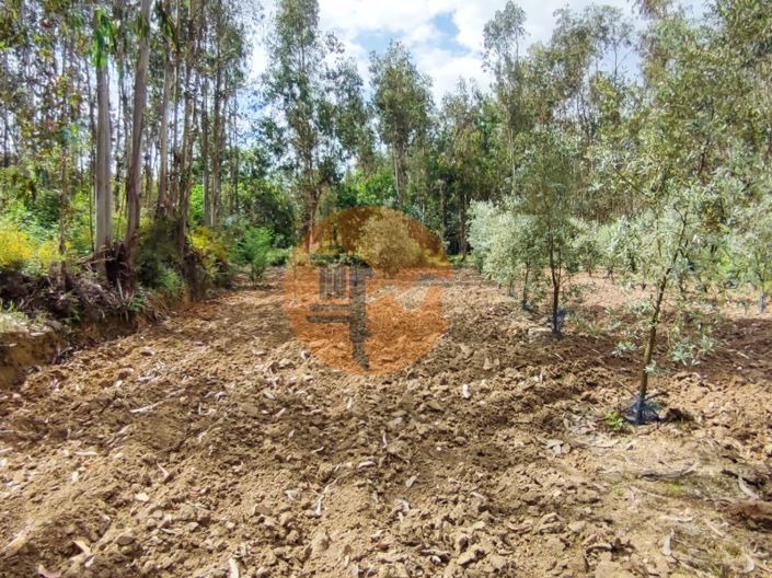 Image No.27-Plot for sale