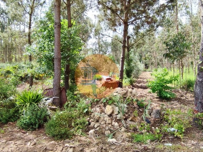 Image No.28-Plot for sale