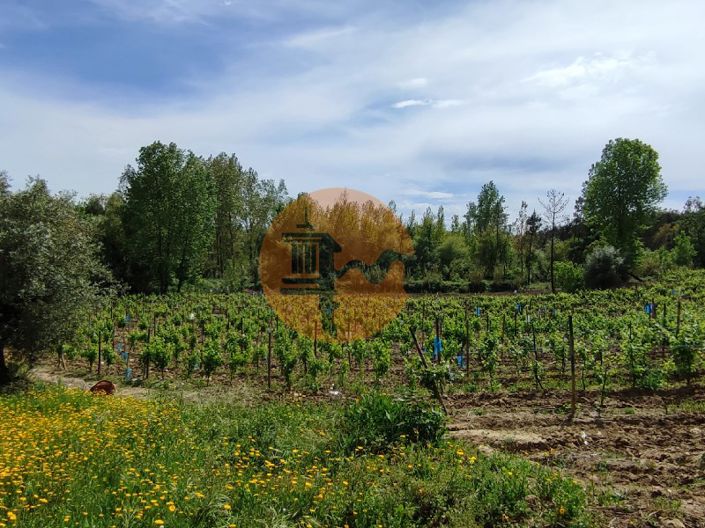 Image No.32-Plot for sale