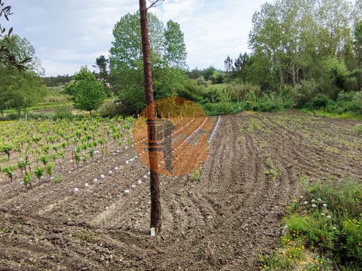 Image No.5-Plot for sale