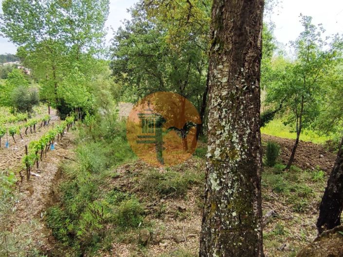 Image No.6-Plot for sale