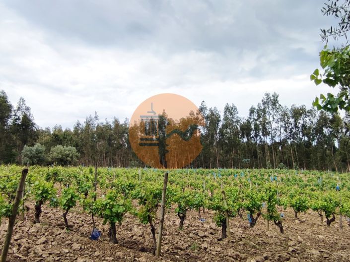 Image No.7-Plot for sale