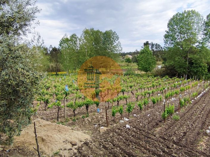 Image No.9-Plot for sale