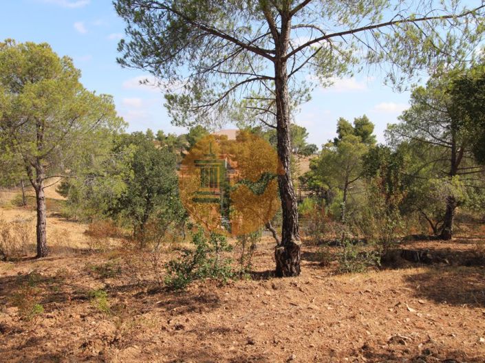 Image No.6-2 Bed Farmhouse for sale