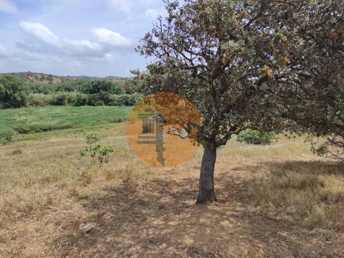 Image No.22-Plot for sale