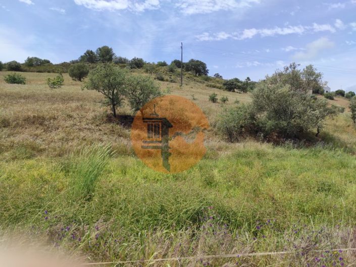 Image No.24-Plot for sale