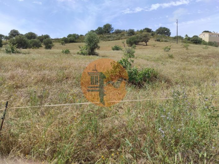 Image No.6-Plot for sale