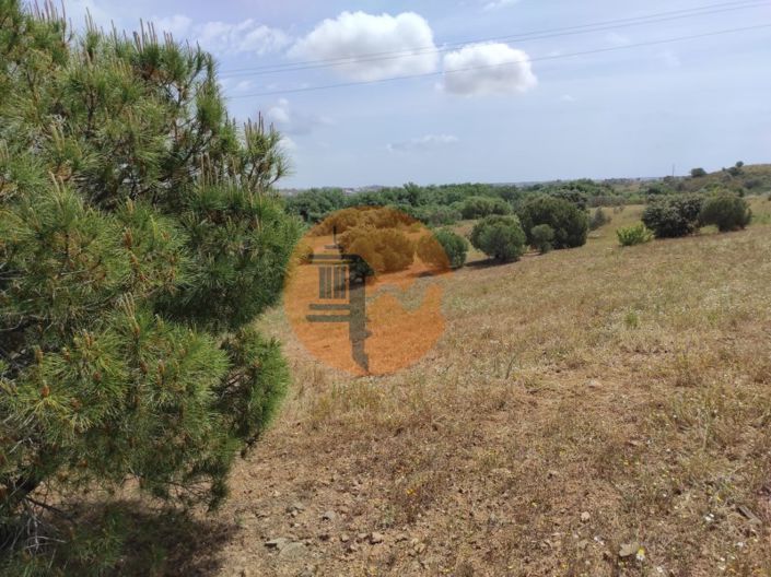 Image No.8-Plot for sale