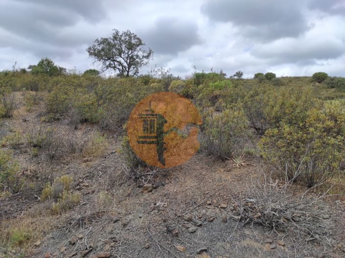 Image No.12-Plot for sale