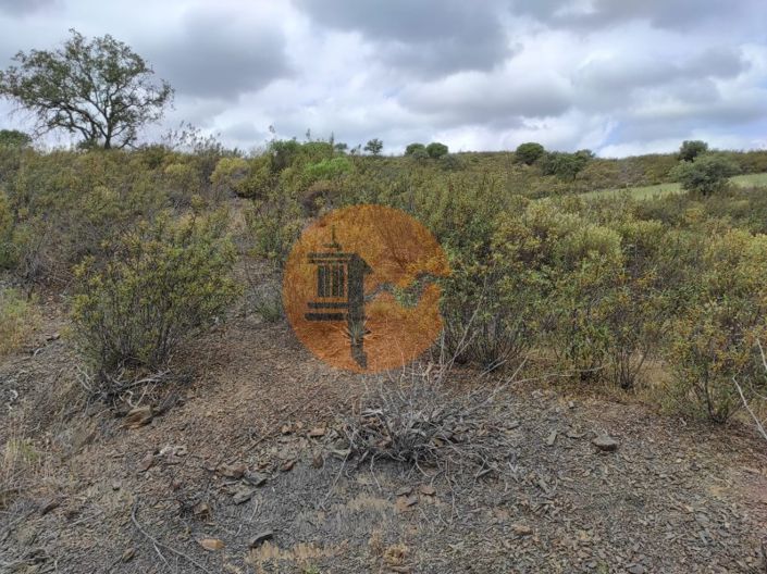 Image No.13-Plot for sale