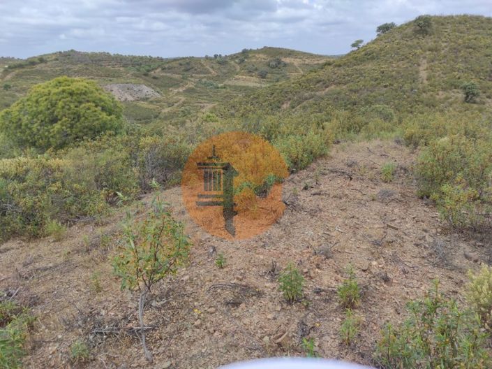 Image No.14-Plot for sale