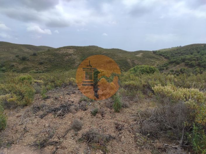 Image No.16-Plot for sale