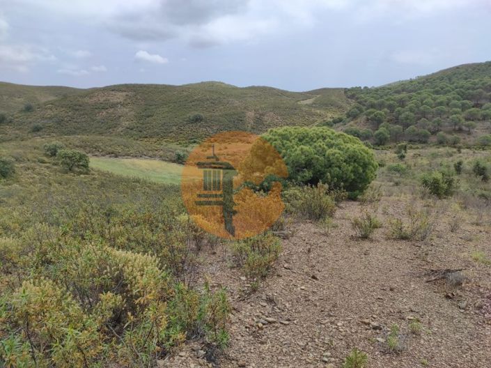 Image No.17-Plot for sale