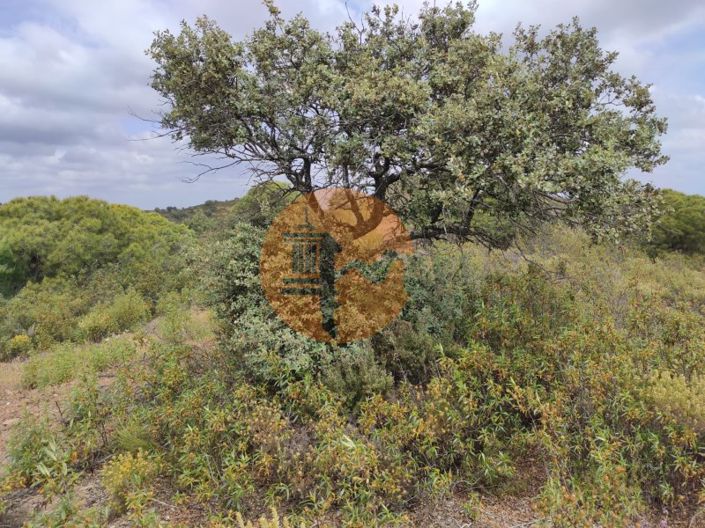 Image No.20-Plot for sale