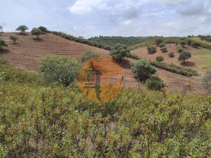 Image No.23-Plot for sale