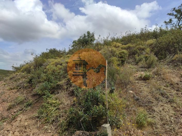 Image No.29-Plot for sale