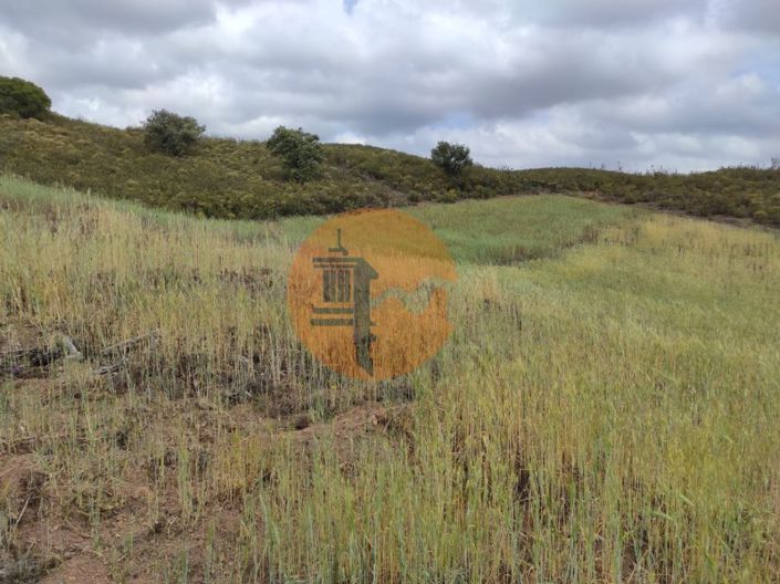 Image No.37-Plot for sale