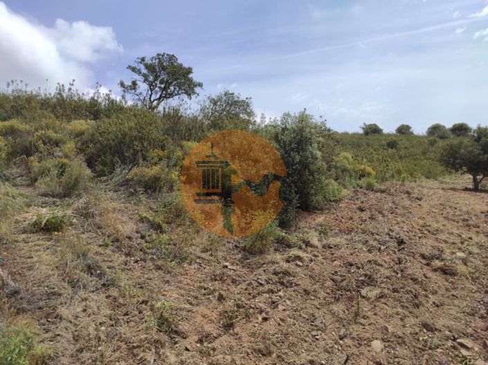 Image No.40-Plot for sale