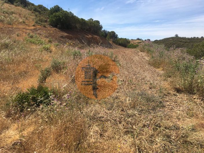 Image No.19-Plot for sale