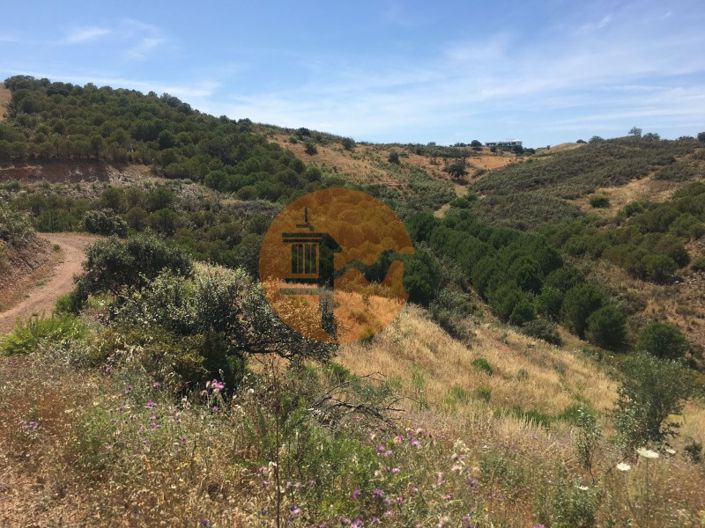 Image No.21-Plot for sale