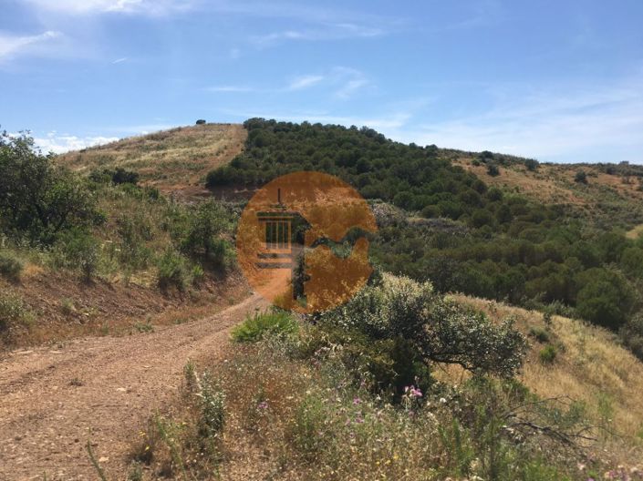 Image No.22-Plot for sale