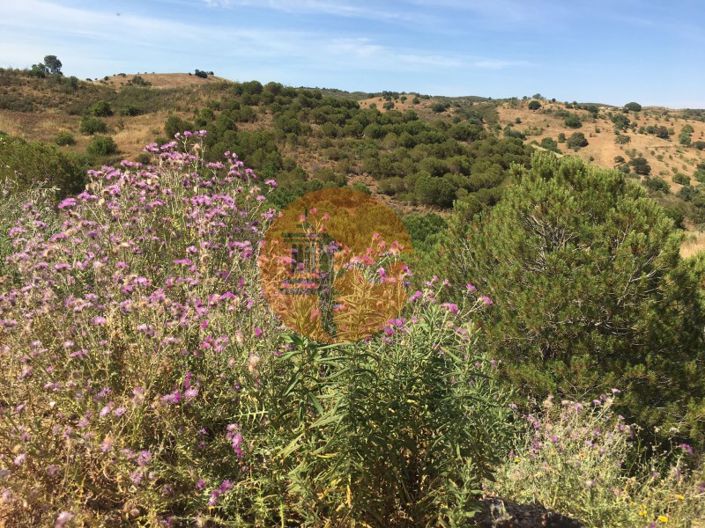 Image No.7-Plot for sale