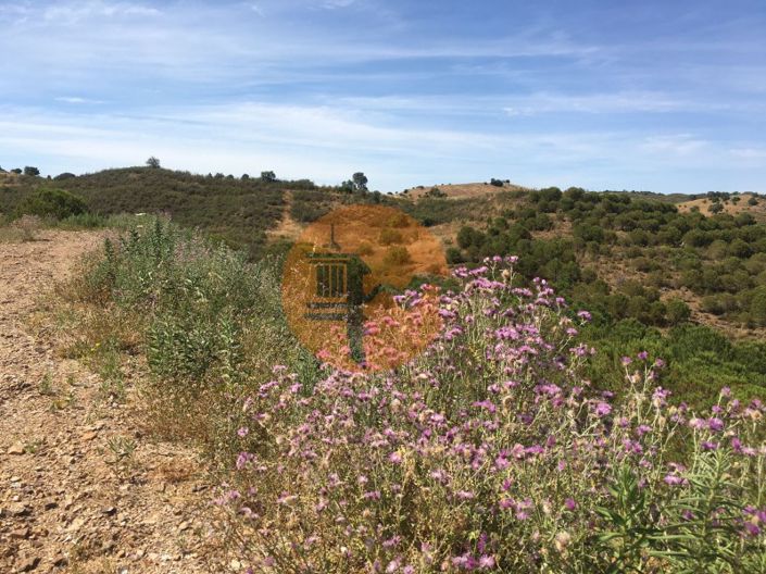 Image No.8-Plot for sale