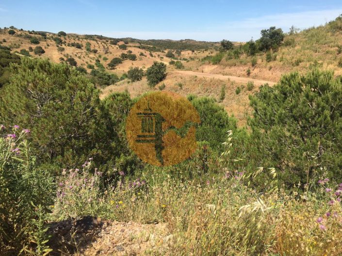 Image No.9-Plot for sale